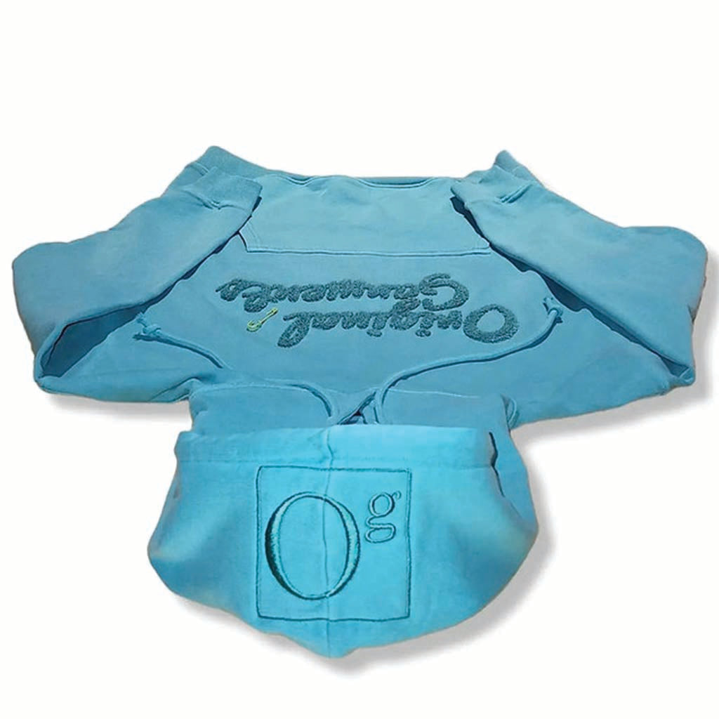 womens teal hoodie
